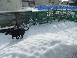 2009_11280015.JPG