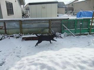 2009_11280016.JPG