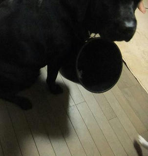 2009_11290095.JPG