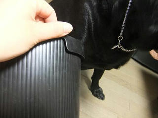 2009_11290088.JPG