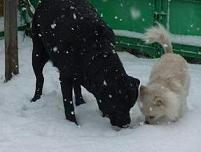 2009_12070019.JPG