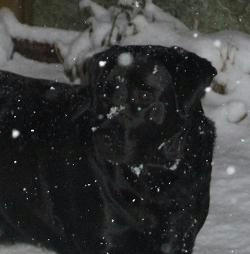 2009_12070037.JPG