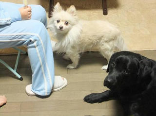 2009_12090027.JPG