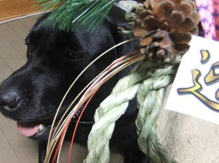 2009_12190051.JPG
