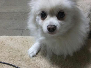 2009_12220007.JPG