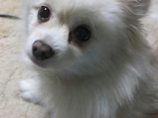 2009_12220014.JPG