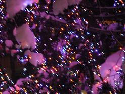 2009_12240038.JPG