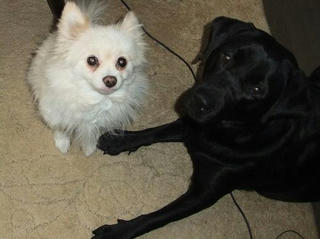 2009_12260004.JPG