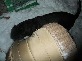 2009_12270013.JPG