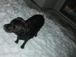 2009_12270042.JPG