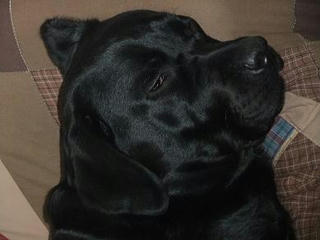 2009_12290007.JPG