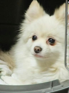 2010_01040018.JPG