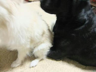 2010_01110007.JPG
