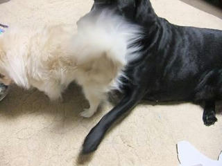 2010_01110009.JPG
