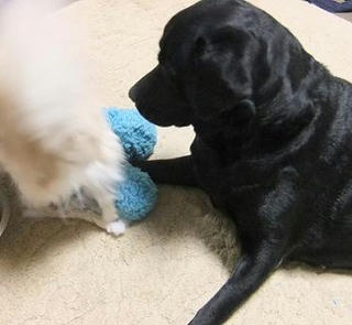 2010_01110010.JPG