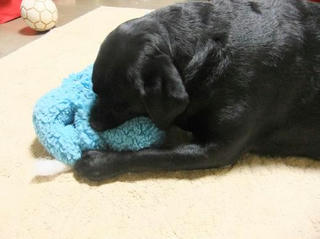 2010_01110005.JPG