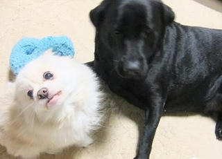 2010_01110008.JPG