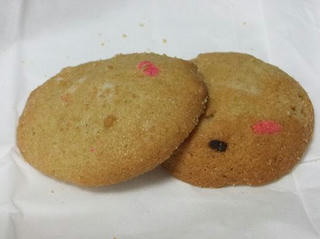 2010_01150005.JPG