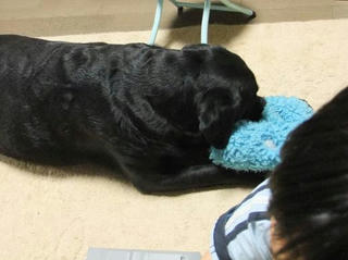 2010_01150054.JPG