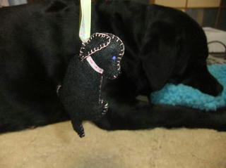 2010_01200060.JPG