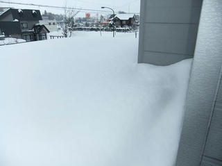 2010_01230005.JPG