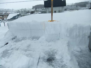 2010_01240024.JPG