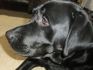 2010_01200035.JPG