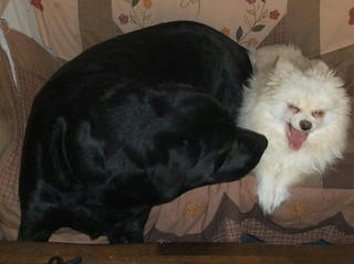 2010_02150011.JPG