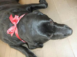 2010_03030013.JPG