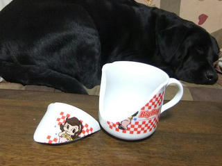 2010_03090003.JPG