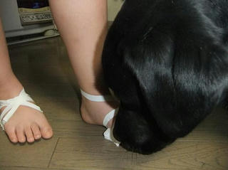 2010_04060014.JPG