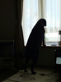2010_05140026.JPG