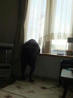 2010_05140028.JPG
