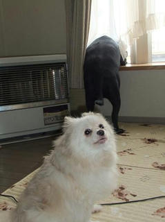 2010_05140025.JPG