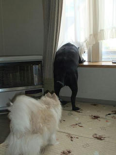 2010_05140024.JPG