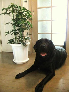 2010_05220024.JPG