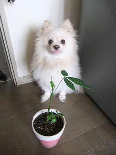 2010_05220018.JPG