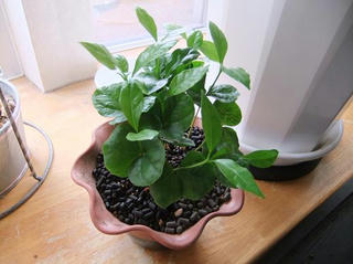 2010_05220012.JPG