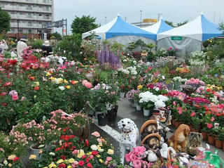 2010_06090096.JPG