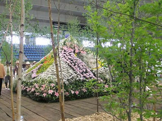 2010_06090102.JPG