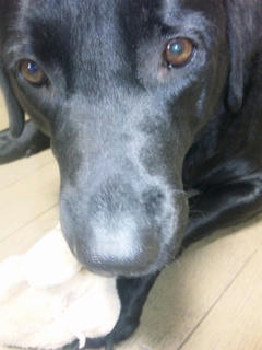 2010_10030020.JPG
