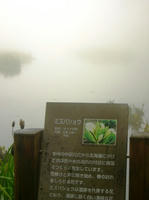 P1090120.JPG