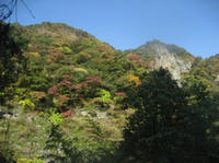 IMG_0613.JPG