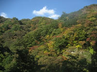 IMG_0617.JPG
