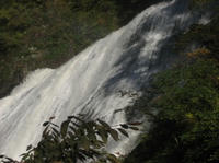 IMG_0633.JPG