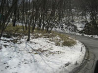 IMG_1369.JPG