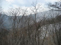 IMG_1371.JPG