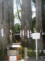 IMG_1576.JPG