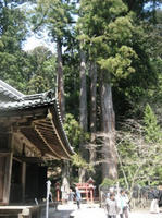 IMG_1580.JPG