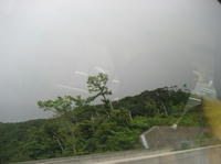 b164a75d.JPG